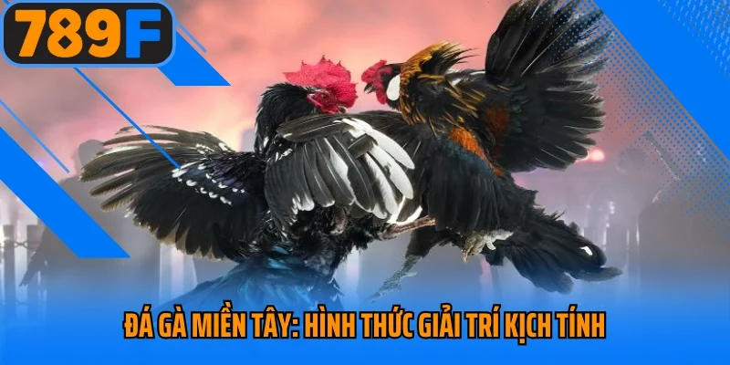 Đá Gà Miền Tây