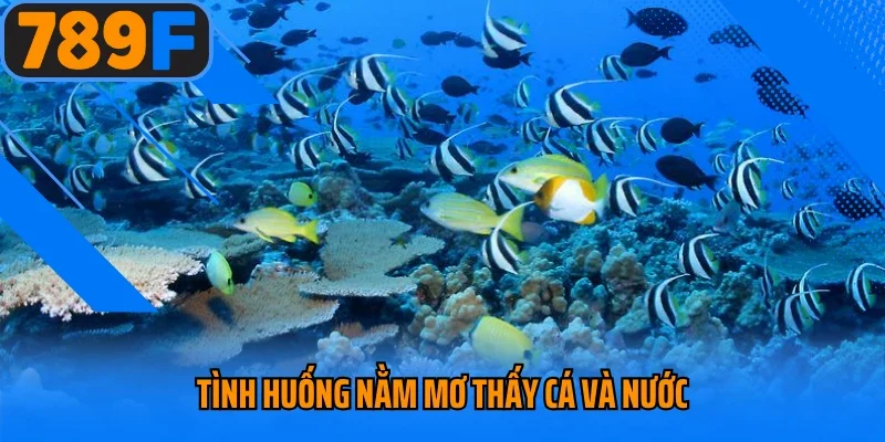 Tình huống nằm mơ thấy cá và nước